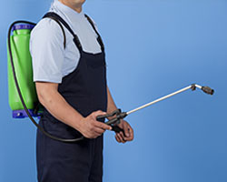 Pest Control in Monroe County