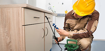 Monroe County Insect & Bug Control