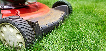 Lawn Mowing Service Monroe County, MI